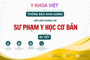 Khoá học An toàn người bệnh 24 Tiết