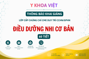 Khoá học An toàn người bệnh 24 Tiết