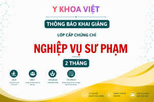 Khoá học An toàn người bệnh 24 Tiết