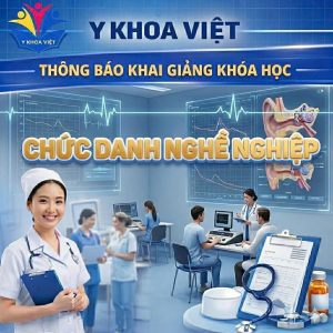 Khoá học Chức danh nghề nghiệp